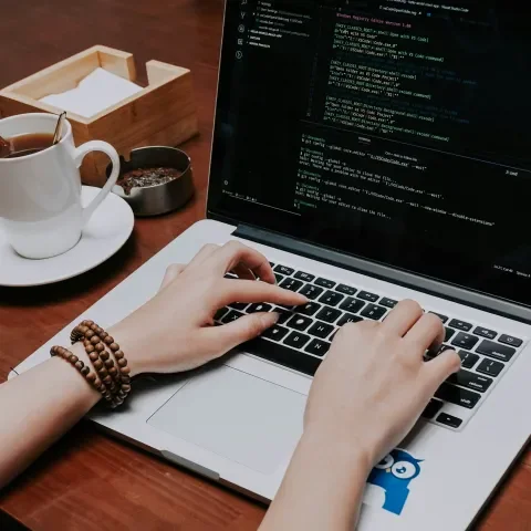 Desarrollo Web a Medida | Expertos en Drupal &amp; AEO